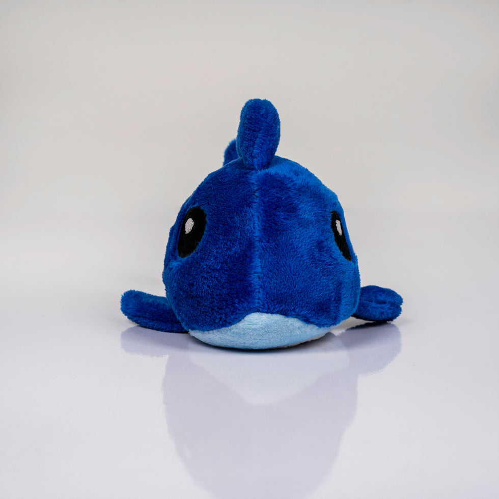 Fuzzy Wuzzy- The Blue Shark